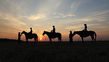 Home on the Ranch
