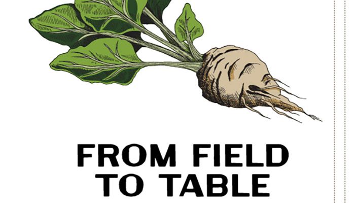 illustration of sugarbeet with caption 'from field to table'