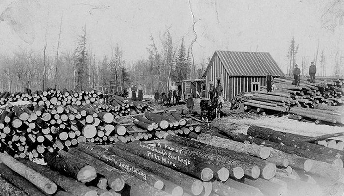 archive photo of logging in Minnesota