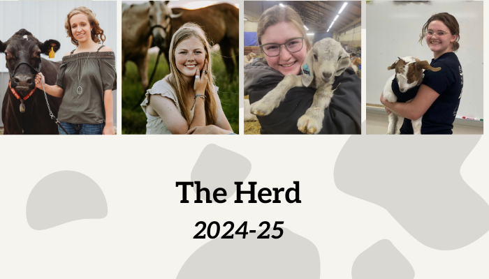 four individual headshots with text The Herd 2024-25