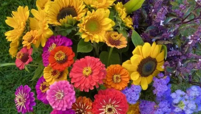 A flower boquet from Owl Forest Farm
