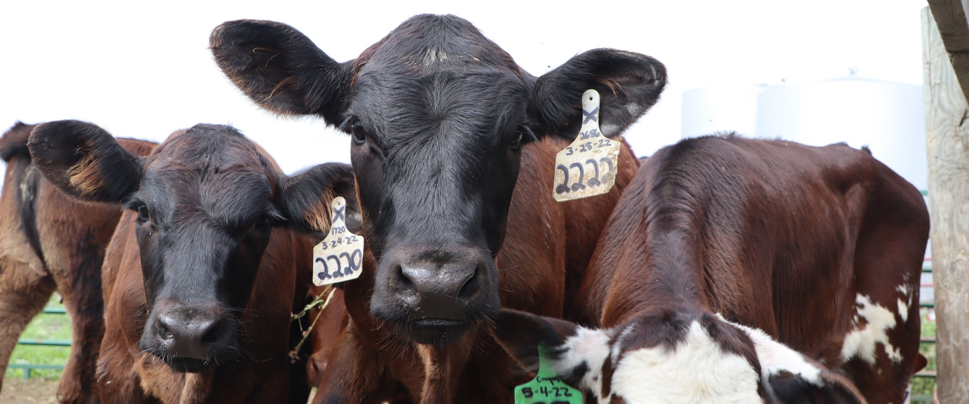 The Voice of Minnesota Agriculture 