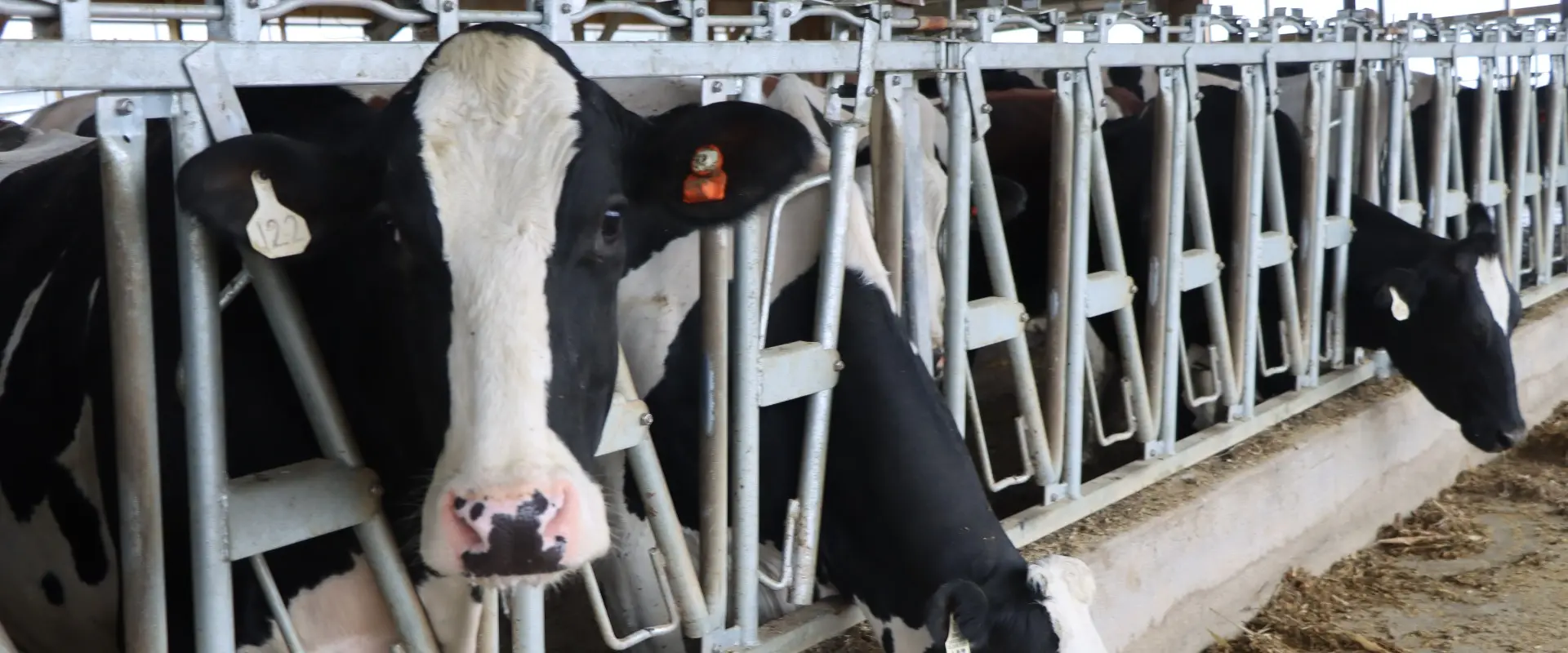 The Voice of Minnesota Agriculture