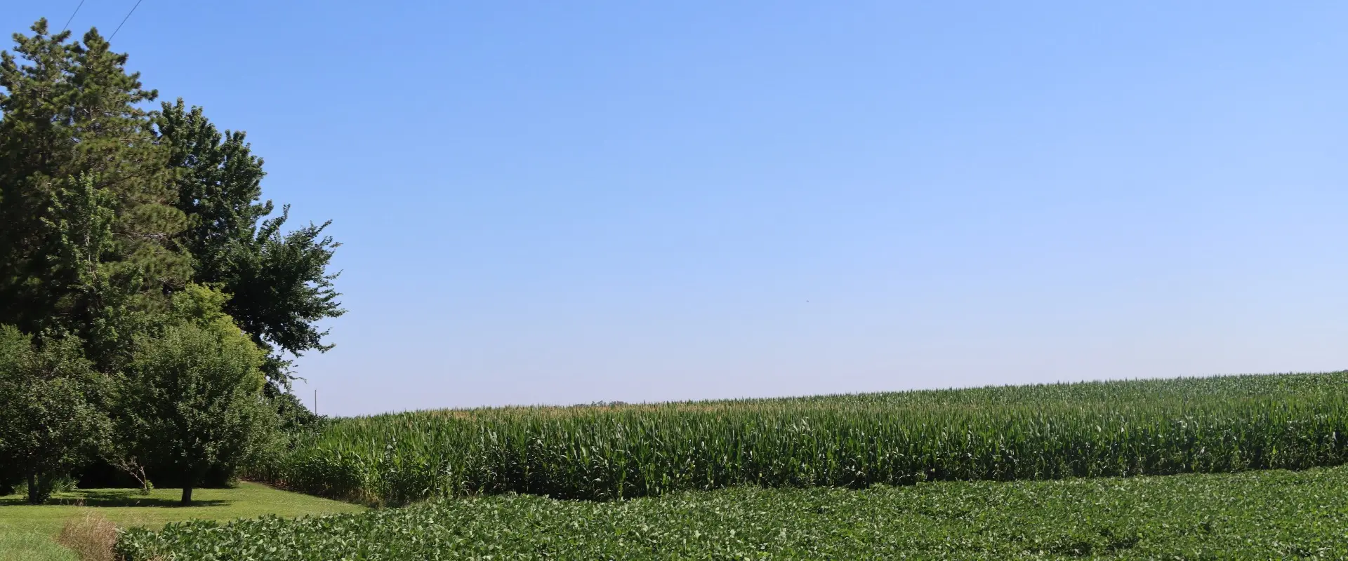 The Voice of Minnesota Agriculture