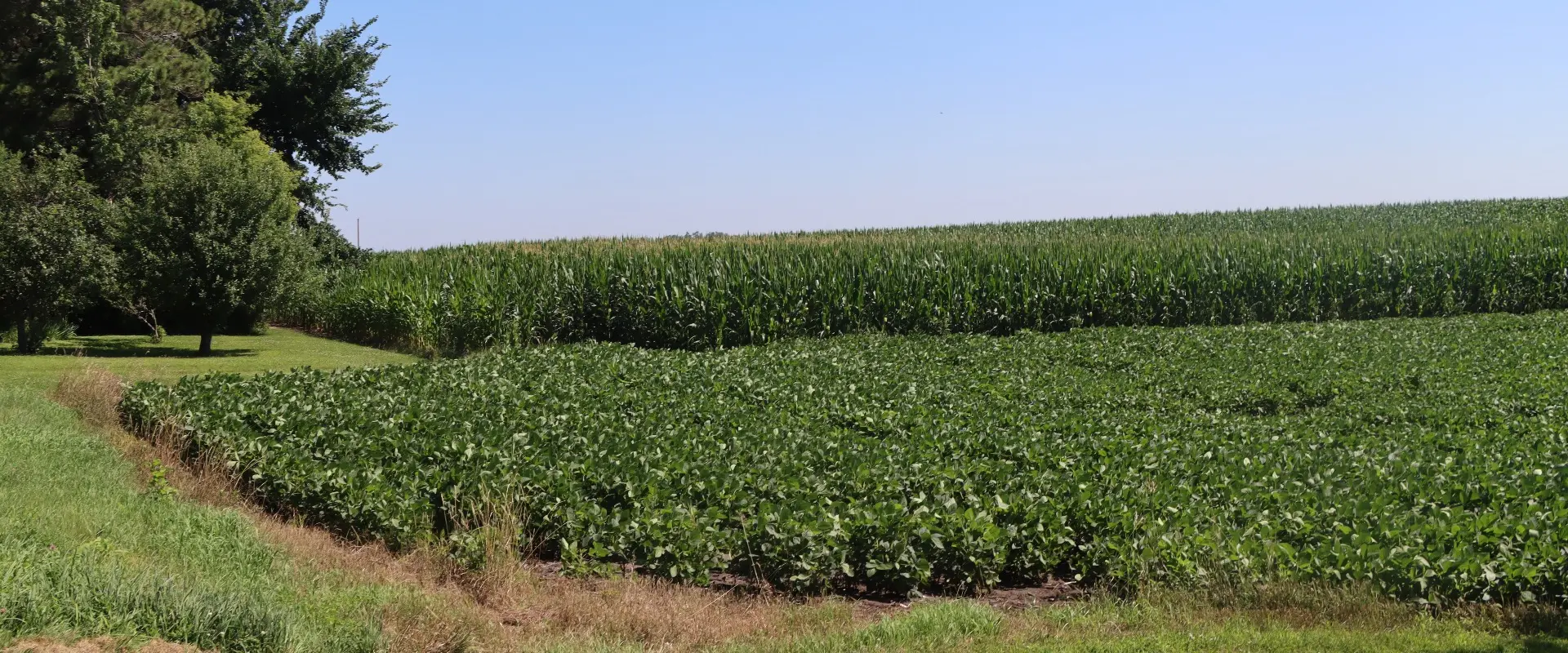 The Voice of Minnesota Agriculture