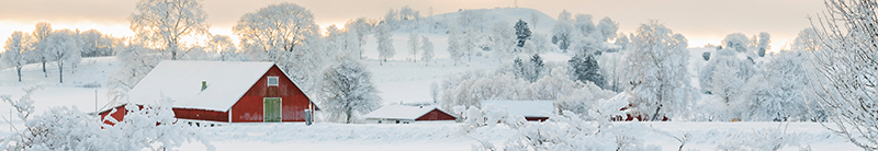 winter scene of snowy field with a barn